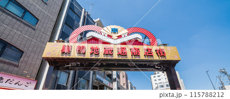 「東京都」快晴の青空と巣鴨地蔵通商店街の風景　豊島区 115788212