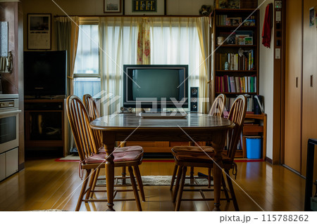 高齢者の自宅リビングのイメージ 115788262