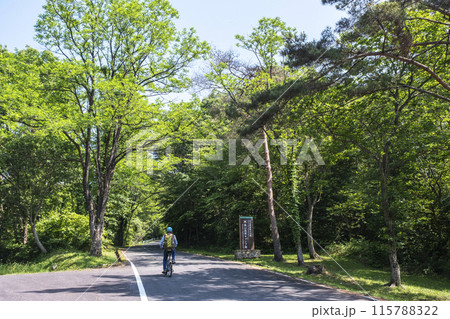 新緑・初夏のサイクリングイメージ (蒜山高原) 新緑・初夏のサイクリングイメージ (蒜山高原) 115788322