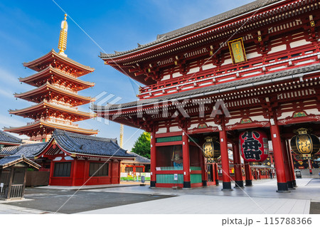 浅草寺　宝蔵門と五重塔 115788366