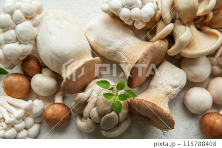 Assortment of various mushrooms Assortment of various mushrooms 115788408