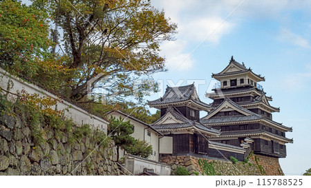 大分 中津城 本丸の風景 大分 中津城 本丸の風景 115788525