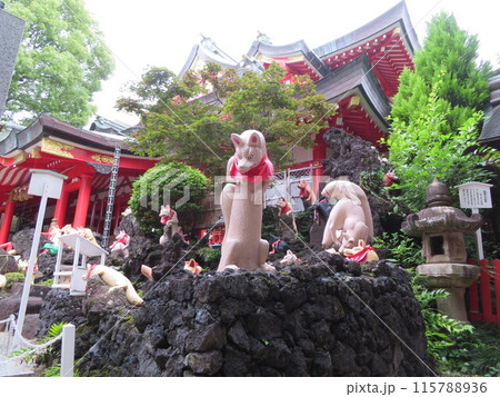 稲荷神社の狐たち 115788936