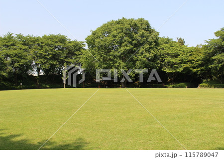 上三川城 115789047