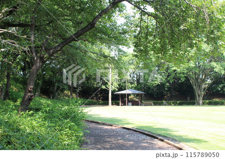 上三川城 115789050