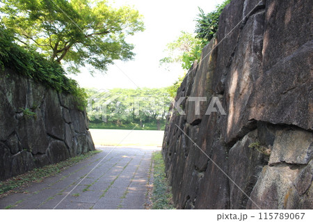 上三川城 上三川城 115789067