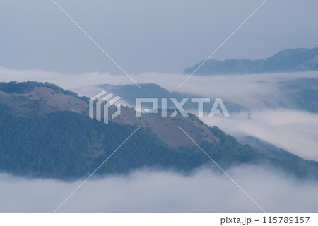 霧が湧く霧ヶ峰 115789157