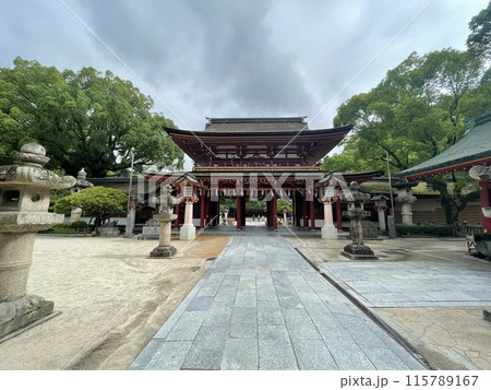 緑に囲まれた神社 115789167