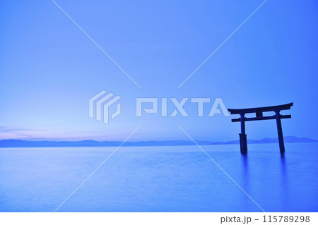 白髭神社　早朝の湖中大鳥居　横構図22 115789298