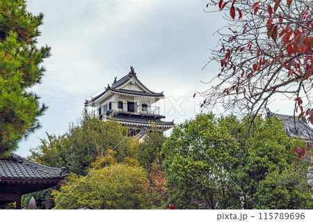 大分 中津城 本丸天守 大分 中津城 本丸天守 115789696