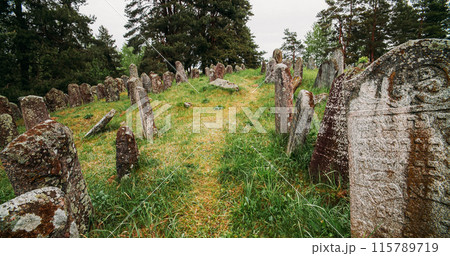 Old ancient Jewish cemetery in summer spring day. green grass an 115789719