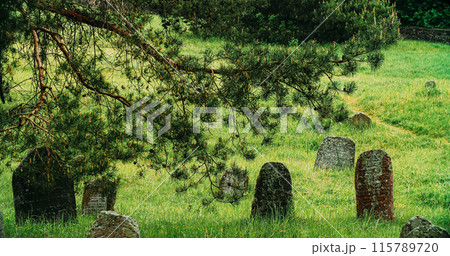 Old ancient Jewish cemetery in summer spring day. green grass an 115789720