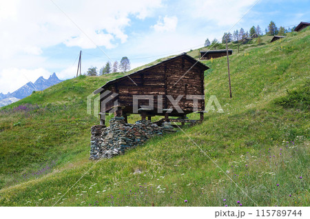 フィンデルン集落のネズミ返しの小屋【スイス/ツェルマット】 115789744