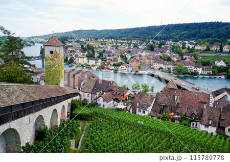ムノート城塞から見るライン川とシャフハウゼンの町並み【スイス】 ムノート城塞から見るライン川とシャフハウゼンの町並み【スイス】 115789778