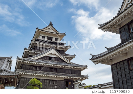 大分 中津城 本丸の風景 大分 中津城 本丸の風景 115790080