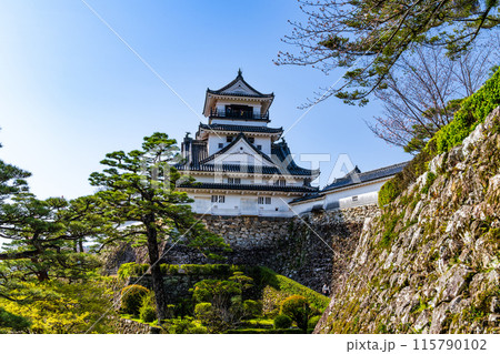 【日本100名城】春の高知城　三ノ丸から見た天守　高知県高知市 115790102