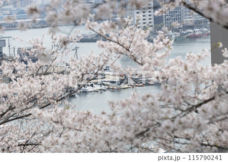 桜と船 桜と船 115790241