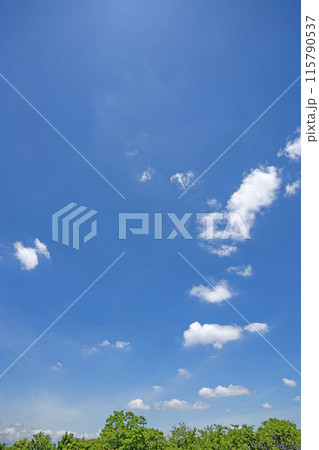 初夏の雲と木立 初夏の雲と木立 115790537