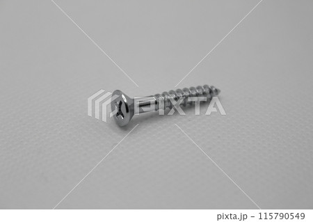 ピカピカの皿ネジ 115790549