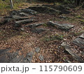 秋を感じる枯葉の山道 115790609
