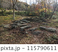 秋を感じる枯葉の山道 115790611