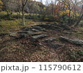 秋を感じる枯葉の山道 115790612