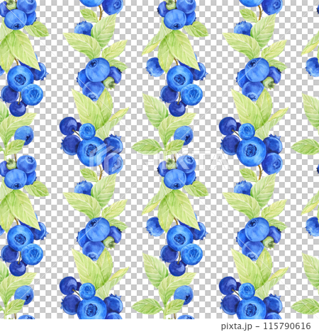 Blueberry watercolor pattern. Seamless pattern of ripe berries on a white background. Botanical hand drawn illustration for fabric, textile, wallpaper, wrapping paper. 115790616
