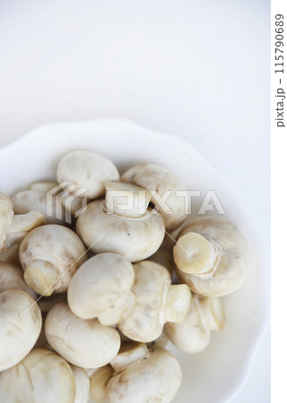 Porcini mushrooms in a cup. Champignons on a white background. Porcini mushrooms in a cup. Champignons on a white background. 115790689