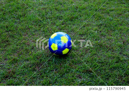 芝生に転がるサッカーボール サッカー サッカーボール 芝生 公園 芝生に転がるサッカーボール サッカー サッカーボール 芝生 公園 115790945
