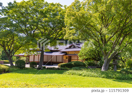 皇居、東御苑の諏訪の茶室 115791309