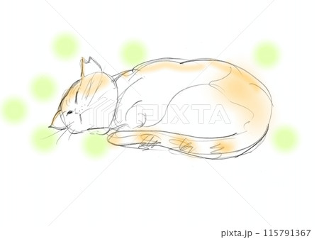 猫のスケッチ 115791367