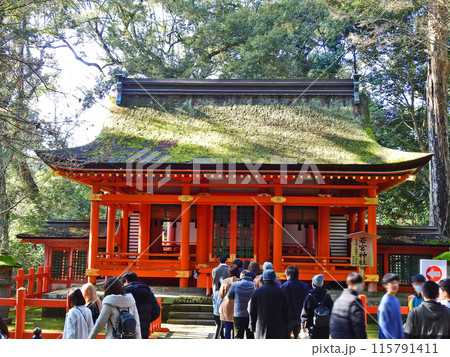 大分県宇佐神宮境内の国指定重要文化財若宮神社 大分県宇佐神宮境内の国指定重要文化財若宮神社 115791411