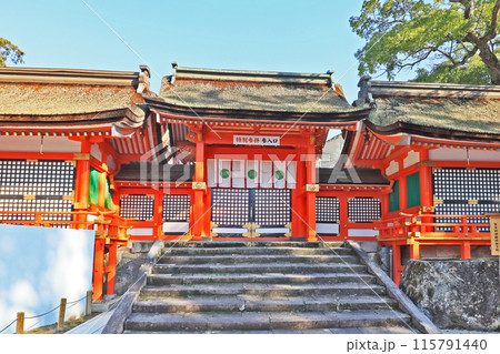 大分県宇佐神宮朱塗りの上宮 115791440