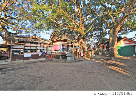 大分県宇佐市の粟島神社境内の拝殿と大クス 115791463