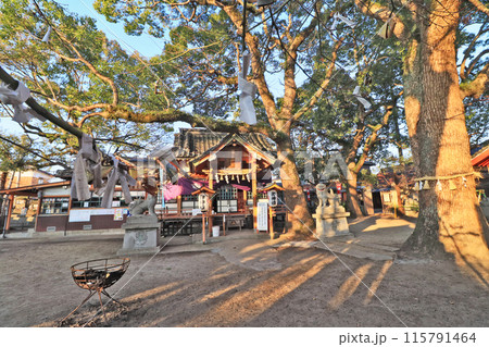 大分県宇佐市の粟島神社境内の拝殿と大クス 115791464