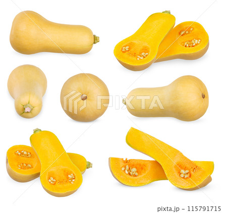 Sliced of Butternut isolated on white background. Sliced of Butternut isolated on white background. 115791715