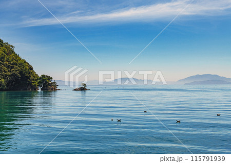 京丹後 伊根湾の風景 115791939