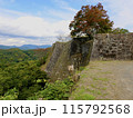 秋の気配漂う岡城 115792568