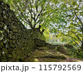 岡城のジブリワールド 115792569