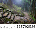 七尾城　朝霧に包まれて② 115792586