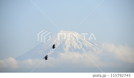 富士山と鳥　@mar_lapin 115792745