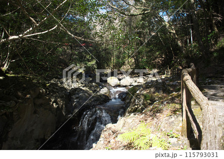 山中の川沿いの遊歩道 115793031