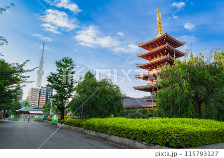 浅草寺五重塔と東京スカイツリー 115793127