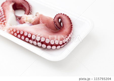 白背景にタコ 115793204