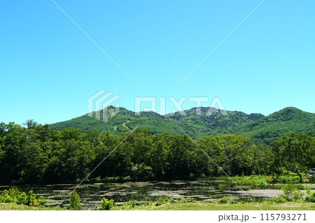 初夏の志賀高原 青空に抱かれた蓮池湖畔新緑の風景 初夏の志賀高原 青空に抱かれた蓮池湖畔新緑の風景 115793271