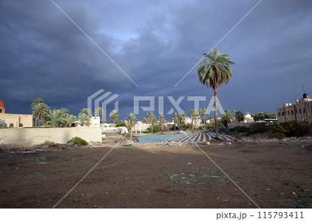 View of the ancient city of Jericho, Jordan Valley, West Bank, Palestine, Israel View of the ancient city of Jericho, Jordan Valley, West Bank, Palestine, Israel 115793411
