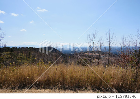 柳ヶ平散策路展望台の展望風景 115793546