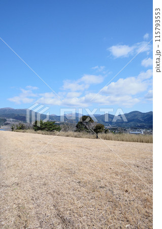 柳ヶ平散策路展望台から眺める霧島連山 115793553