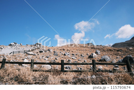 えびの高原の自然風景 115793674