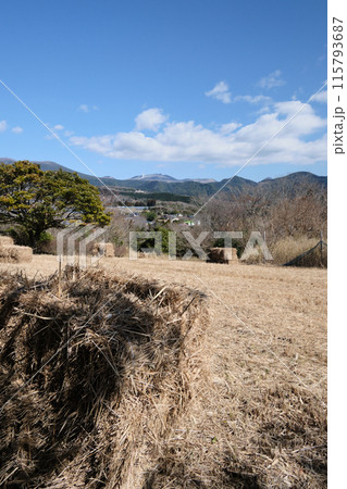 新燃岳が見える柳ヶ平散策路展望台 新燃岳が見える柳ヶ平散策路展望台 115793687